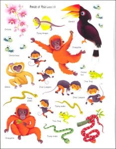 jungle-first-sticker-book-4