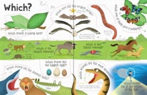 Lift-the-flap-first-questions-and-answers-about-animals-3