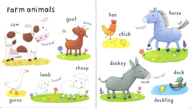 very-first-words-animals-2
