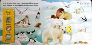 first-explorers-snowy-animals-1