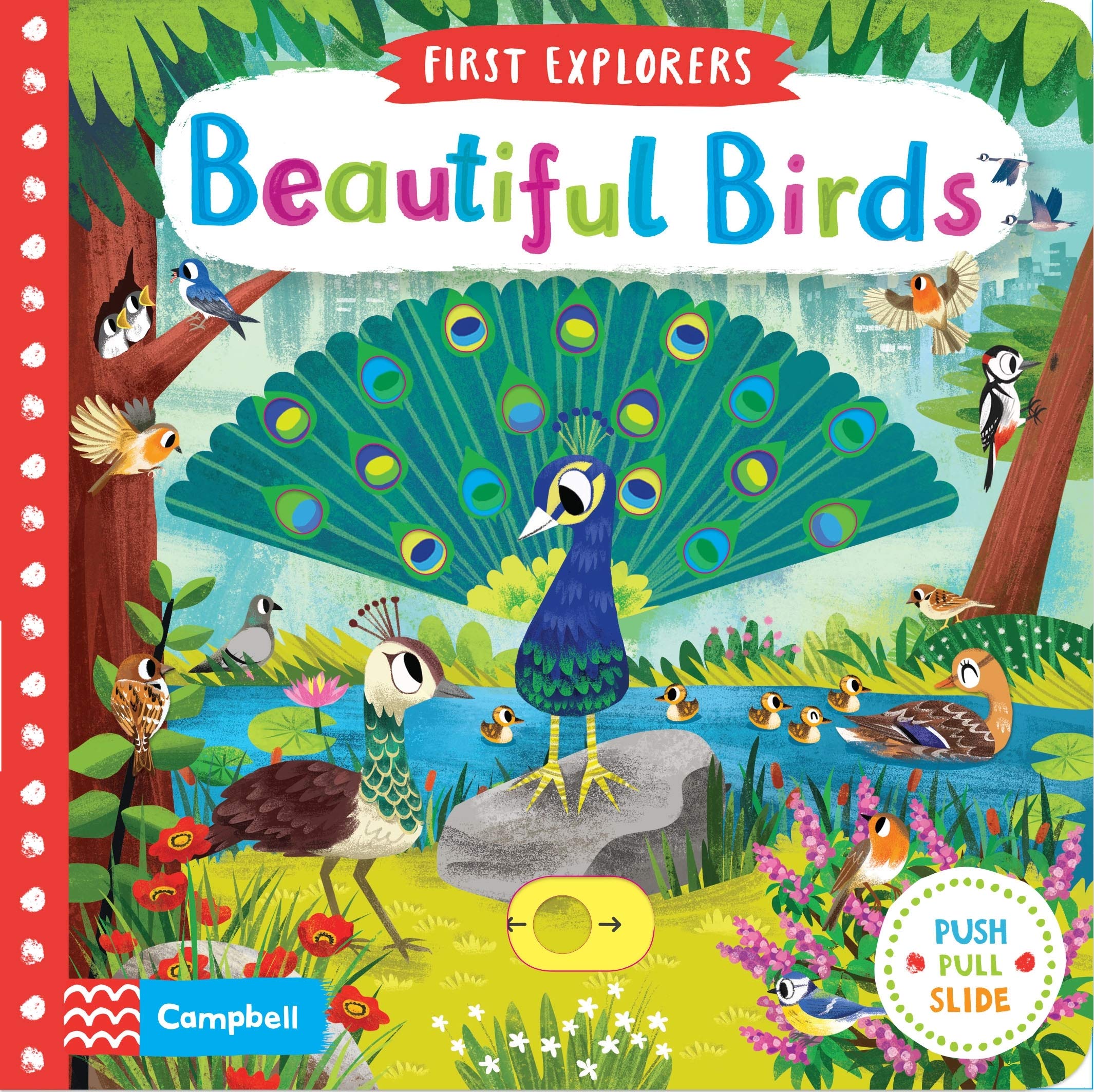 first-explorers-beautiful-birds
