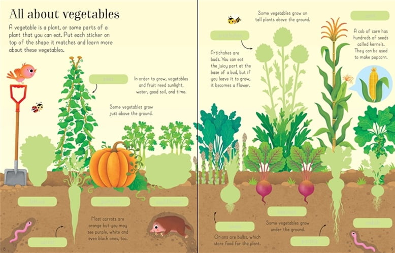first-sticker-book-fruits-and-vegetables-2