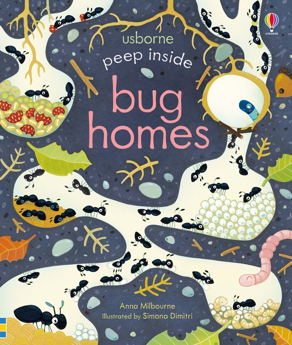 peep-inside-bug-homes